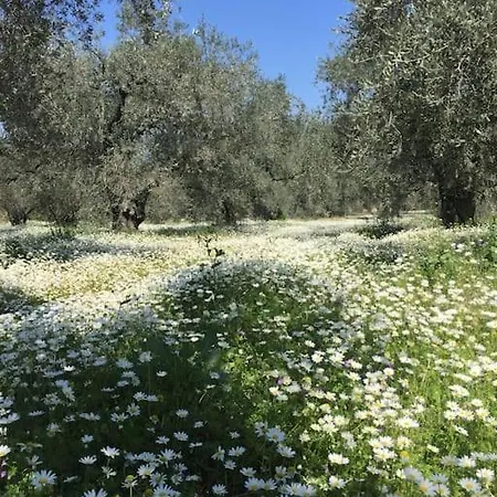 Village House Σπίτι διακοπών Βόλος